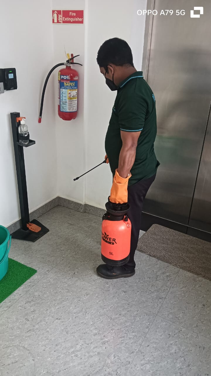 Residential Pest Control