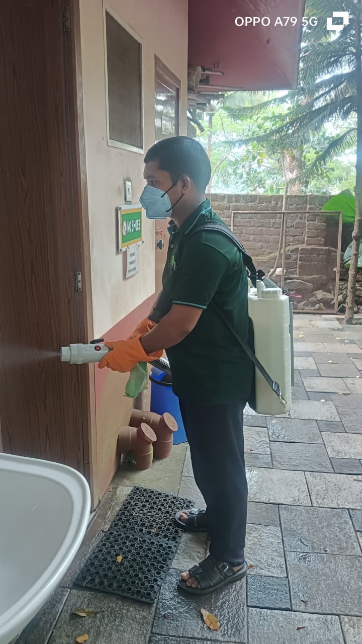 Termite Control Treatment
