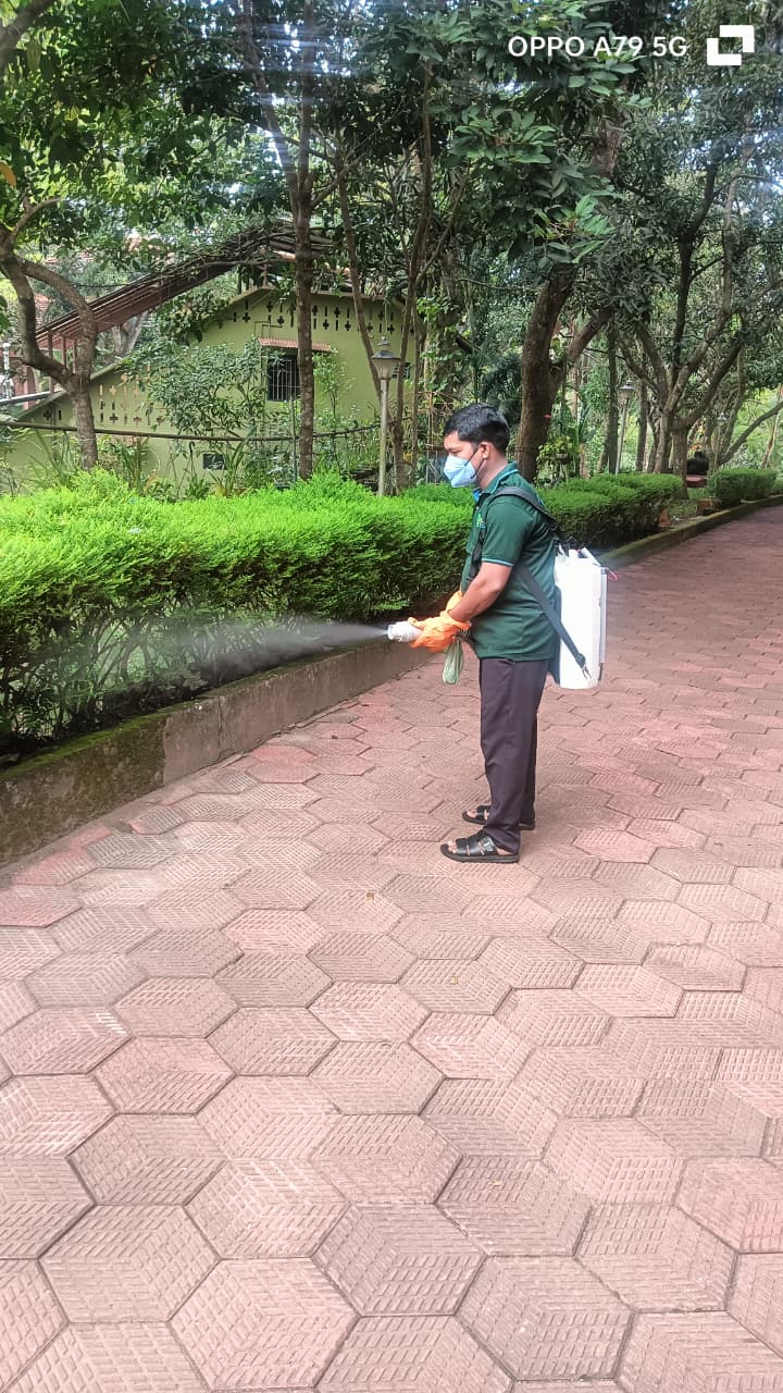Professional Renovation Services