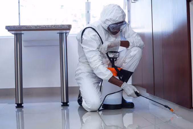 Flea & Mite Extermination