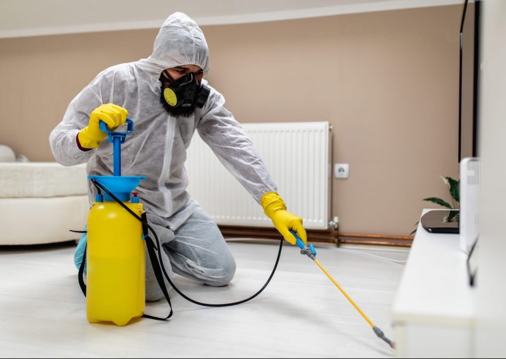 Termite Extermination services