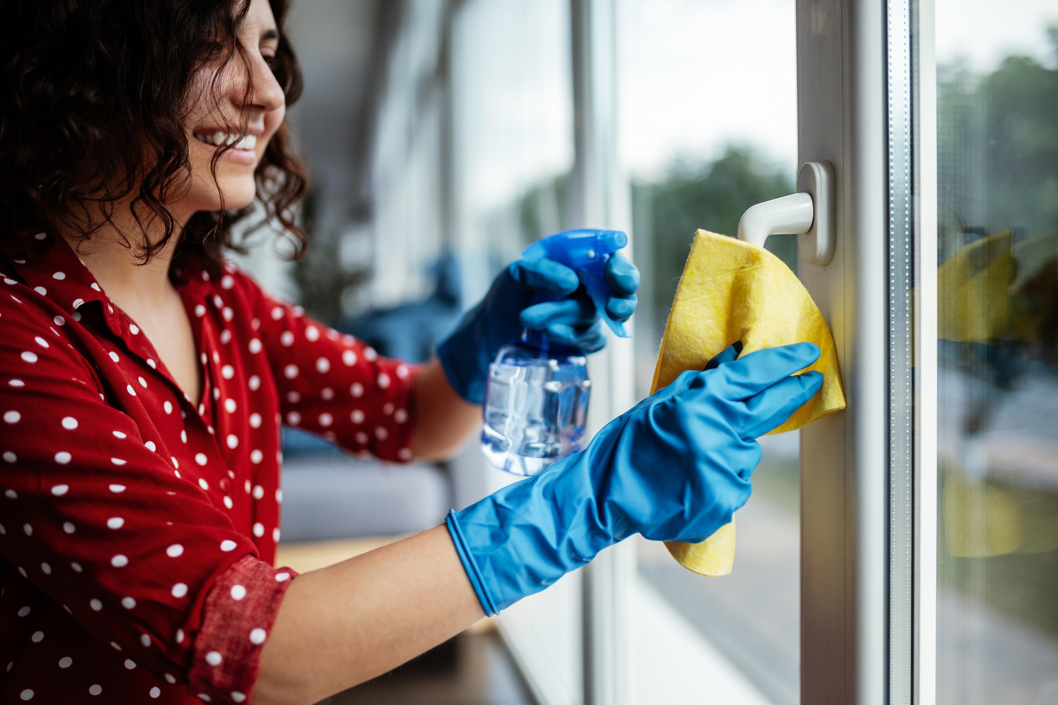 Professional Sanitization Services
