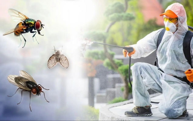 Fly Control