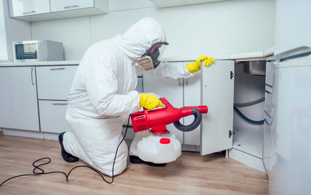 Flea & Mite Extermination